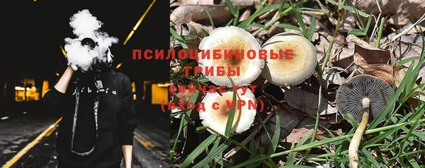 гидра Мегион
