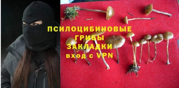 гидра Мегион