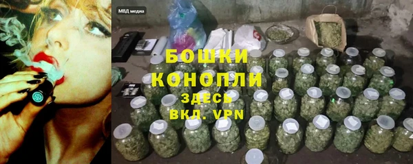 гидра Мегион
