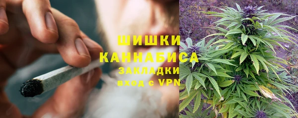 гидра Мегион