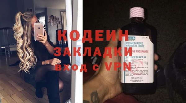 хмурый Магас