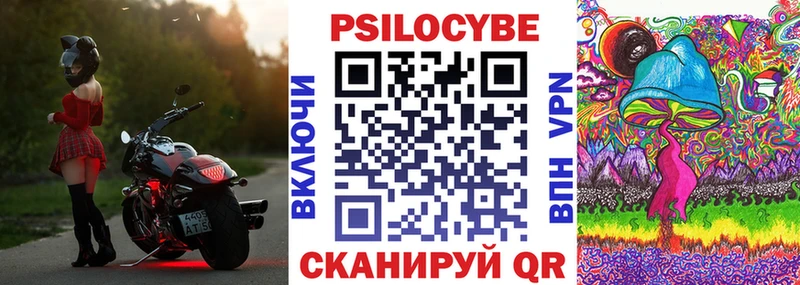 Купить закладки  Рыльск  Галлюциногенные грибы Cubensis 